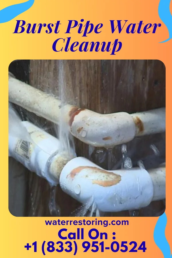 Burst Pipe Water Cleanup in Iantha, MO